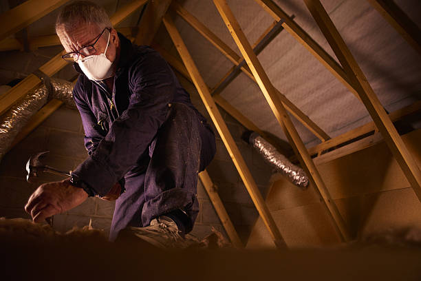 Best Insulation Maintenance and Repair in Park Rapids, MN